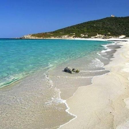T2 Neuf Climatise Dans Villa A Corbara Esterno foto