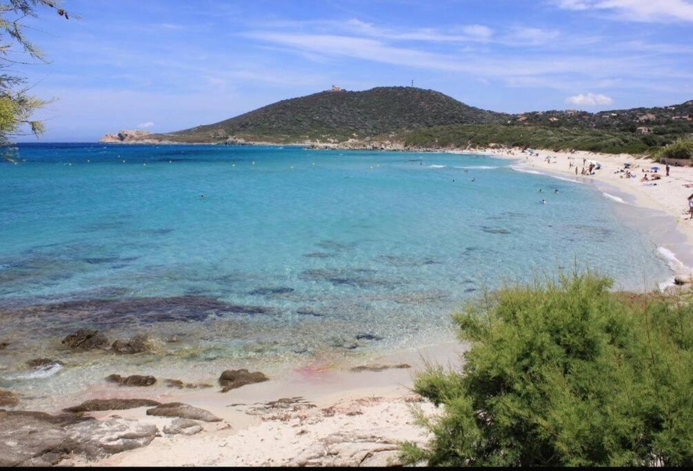 T2 Neuf Climatise Dans Villa A Corbara Esterno foto