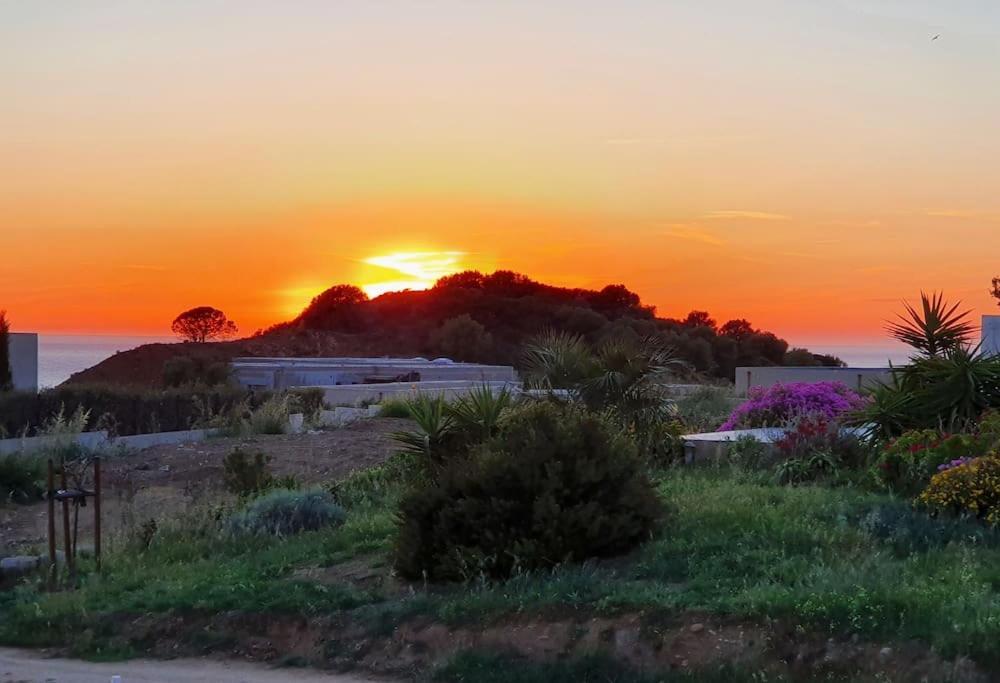 T2 Neuf Climatise Dans Villa A Corbara Esterno foto